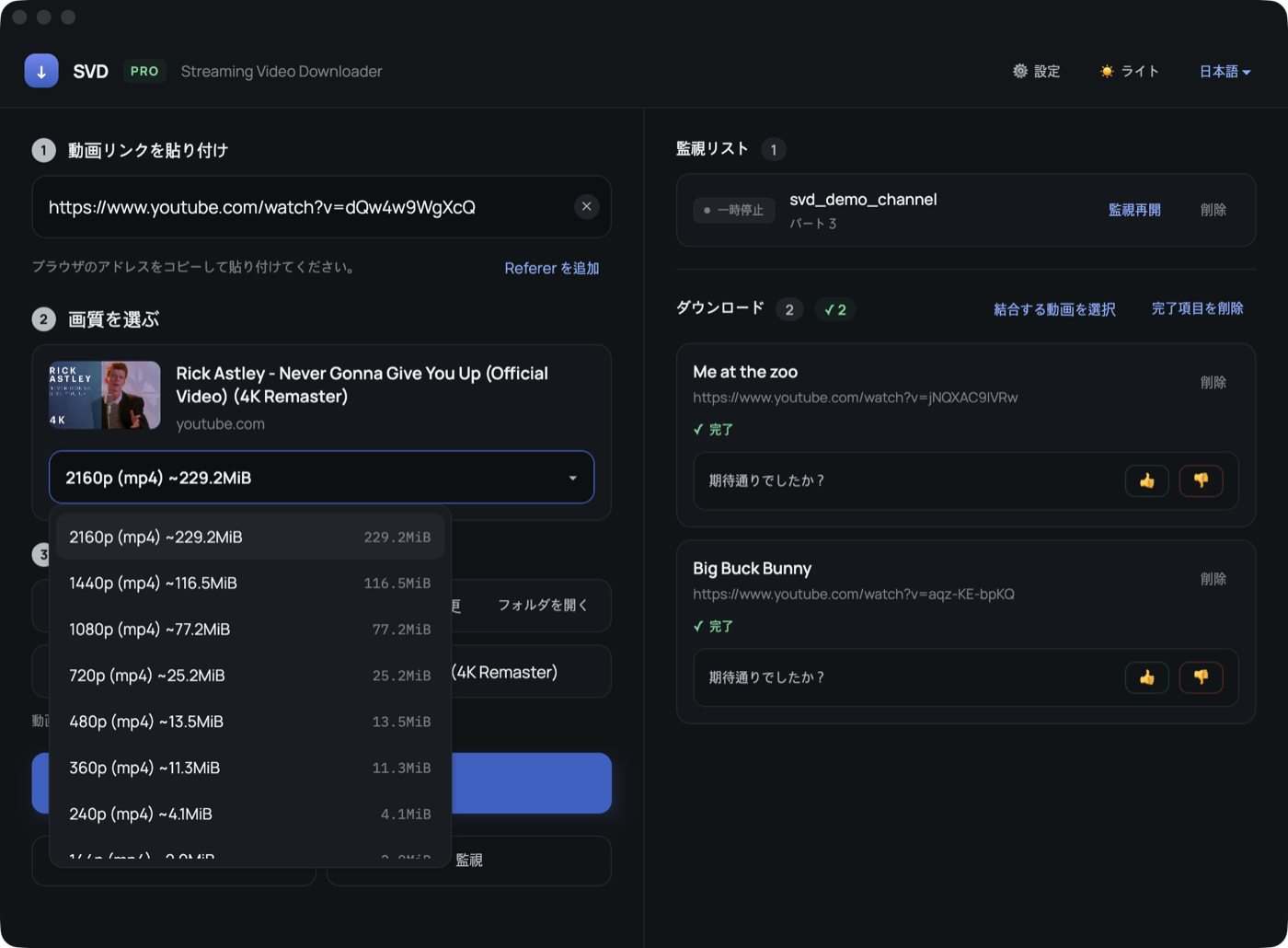 サイトが提供する画質と音声のみ、おおよその容量も表示。