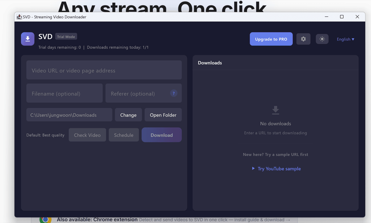 SVD running on Windows 11 after a successful install